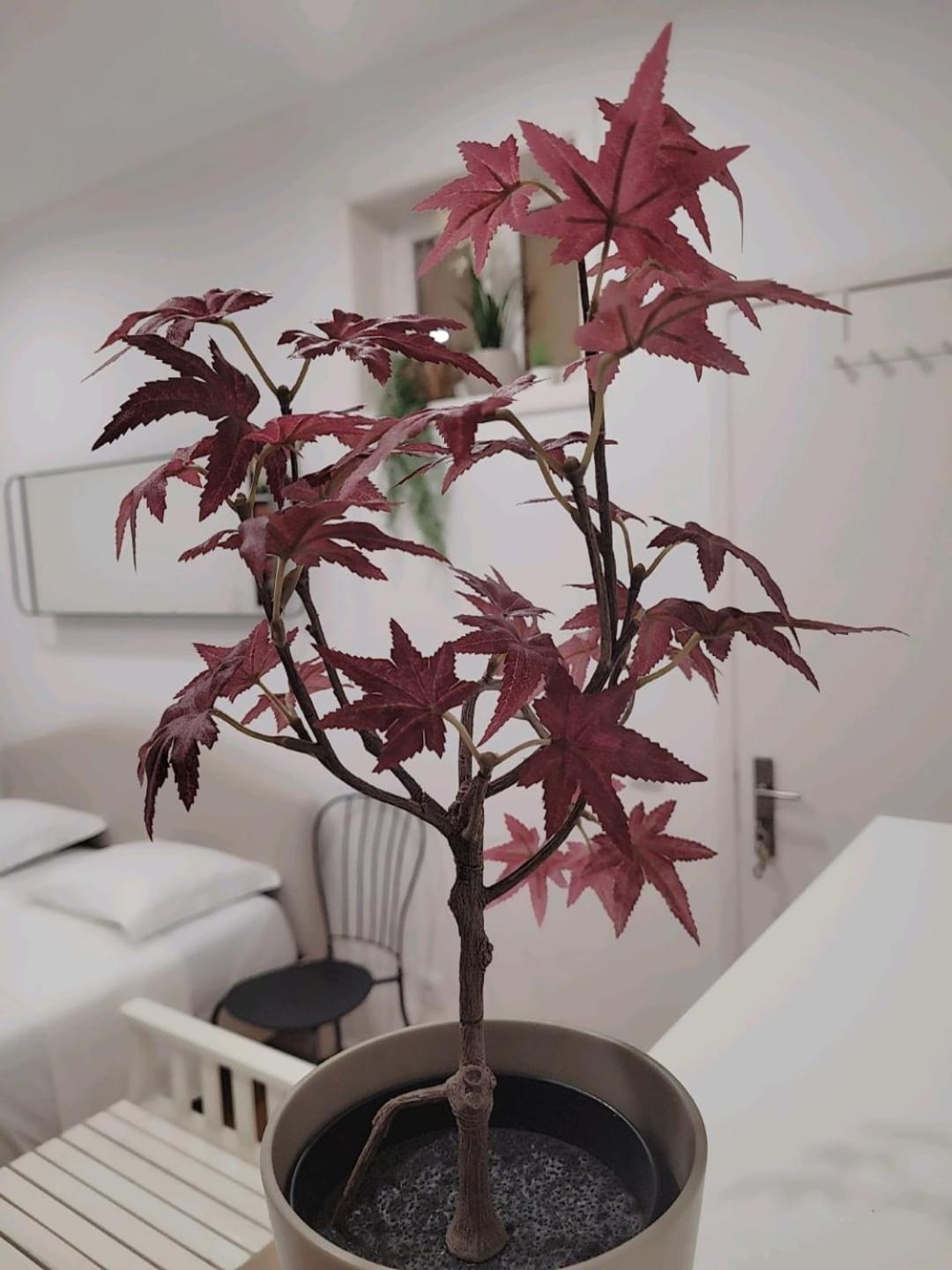 Varanda Privada Iroom Lisboa 外观 照片