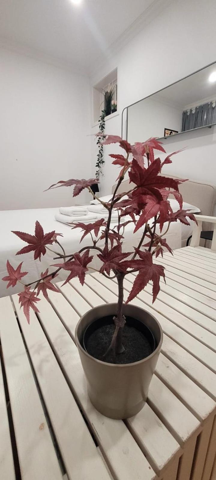 Varanda Privada Iroom Lisboa 外观 照片