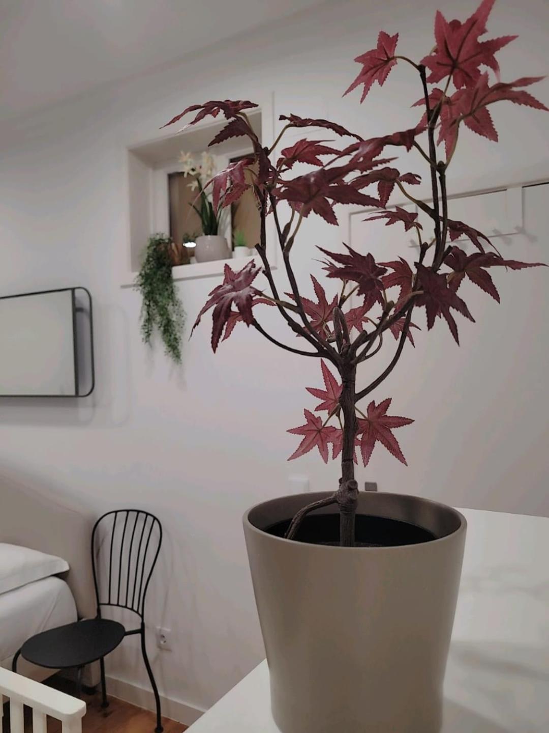 Varanda Privada Iroom Lisboa 外观 照片